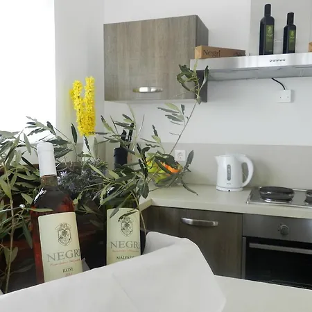 Villa Villa Salvia Yourcroatiaholiday Drenje (Istria)